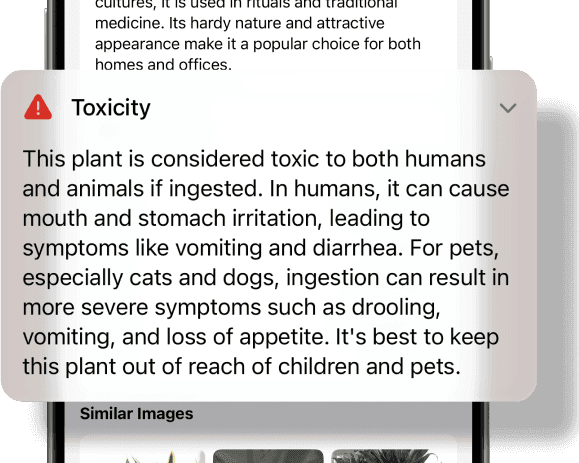 Alternative text