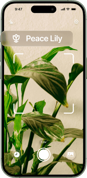 Video poster image